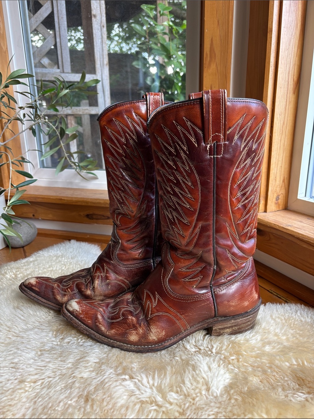 Vintage Embroidered Cowboy Boots